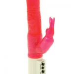 De getwisterde zuster vibrator