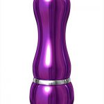 Paarse aluminium mini vibrator