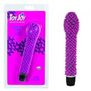 Groovy Hipster Spot Vibrator